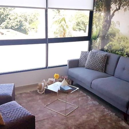Nice And Centric Apartment 普拉亚卡门 外观 照片