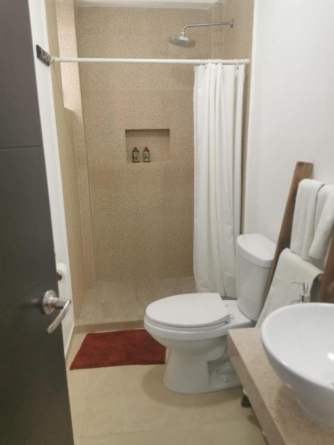 Nice And Centric Apartment 普拉亚卡门 外观 照片