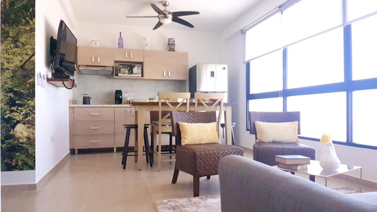 Nice And Centric Apartment 普拉亚卡门 外观 照片