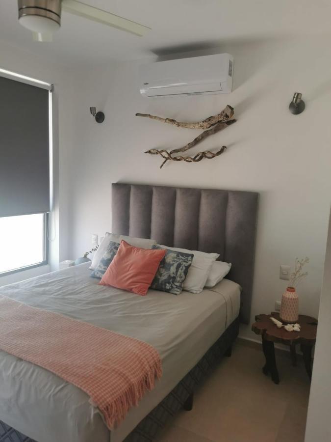 Nice And Centric Apartment 普拉亚卡门 外观 照片